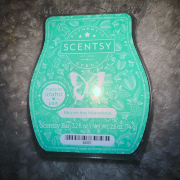 3 wax warmers and 3 full wax melt bars (Scentsy) - Picture 3 of 8